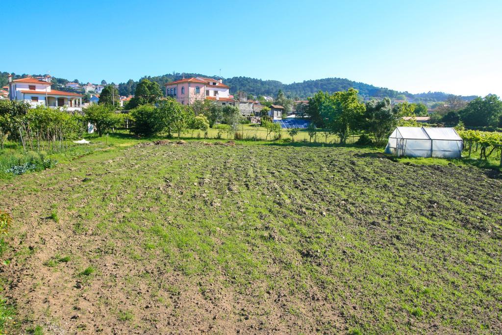 Dias House Konuk evi Viana do Castelo Dış mekan fotoğraf